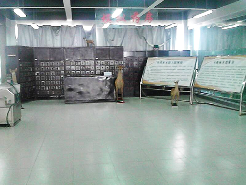 中药学