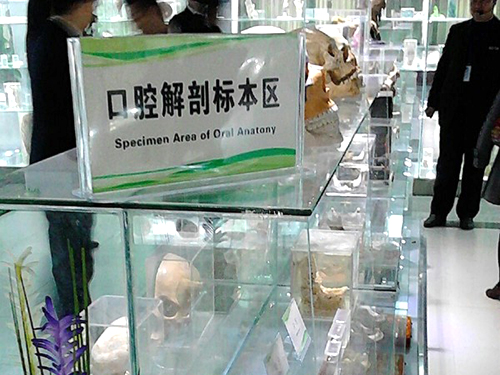 口腔医学