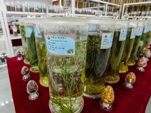 药学