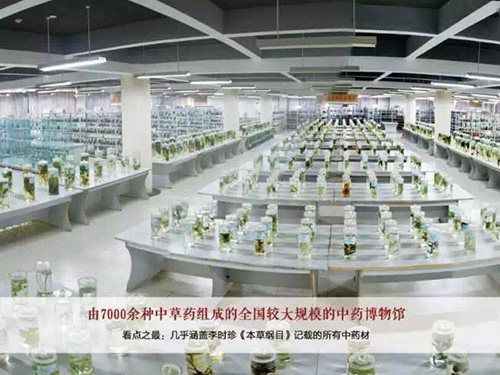 药学